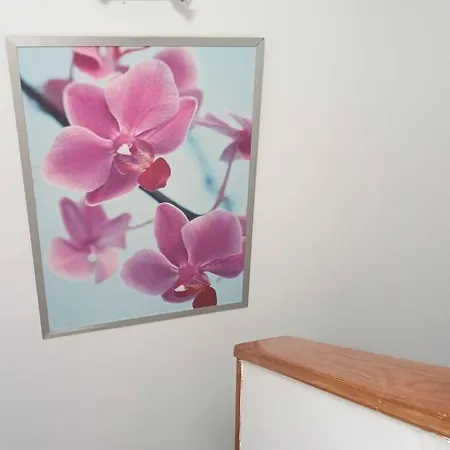 Casa Sira, Centrico Y Cerca De Playa Daire